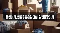 울산이사,원룸투룸용달이사,일반포장이사