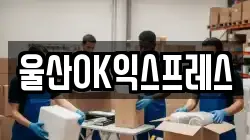 울산광역시 남구 두왕동 이사,포장이사,반포장이사,원룸이사,사무실이사,용달이사,전국이사,보관이사