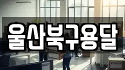 울산북구용달