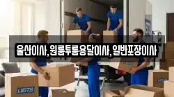 울산광역시 북구 무룡동 이사,포장이사,반포장이사,원룸이사,사무실이사,용달이사,전국이사,보관이사