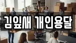 김잎새 개인용달