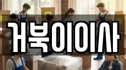 거북이이사