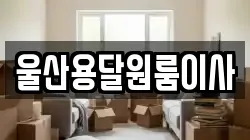 울산용달원룸이사