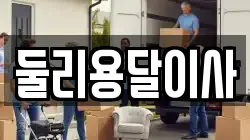 둘리용달이사