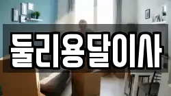 둘리용달이사