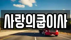 사랑의쿱이사