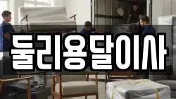 둘리용달이사