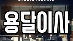 용달이사
