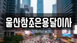 울산참조은용달이사