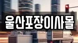 울산포장이사몰