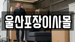 울산포장이사몰