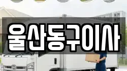 울산 동구 화정동 이사,포장이사,반포장이사,원룸이사,사무실이사,용달이사,전국이사,보관이사