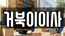 거북이이사