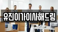 유진이가이사해드림
