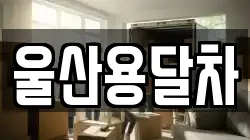 울산용달차