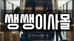 쌩쌩이사몰