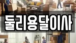 둘리용달이사