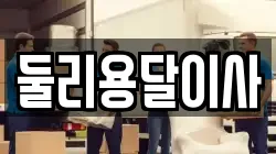 둘리용달이사