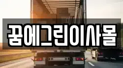 꿈에그린이사몰
