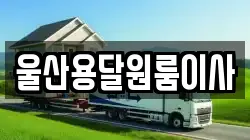 울산용달원룸이사