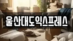 울산 중구 이사,포장이사,반포장이사,원룸이사,사무실이사,용달이사,전국이사,보관이사