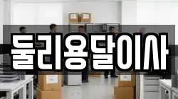 둘리용달이사