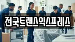 전국트랜스익스프레스