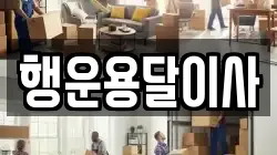 행운용달이사