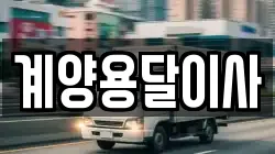 계양용달이사
