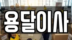 인천광역시 계양구 귤현동 이사,포장이사,반포장이사,원룸이사,사무실이사,용달이사,전국이사,보관이사