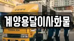 계양용달이사화물