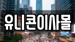 유니콘이사몰