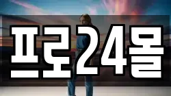 프로24몰