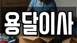 용달이사