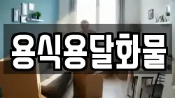 용식용달화물