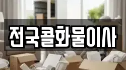 전국콜화물이사