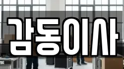 감동이사