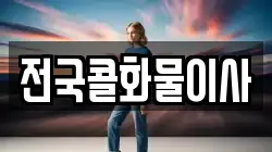 전국콜화물이사