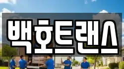 백호트랜스