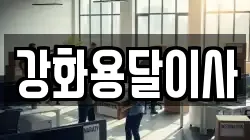 강화용달이사