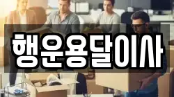 행운용달이사