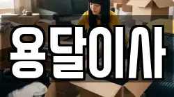 인천 계양구 노오지동 이사,포장이사,반포장이사,원룸이사,사무실이사,용달이사,전국이사,보관이사