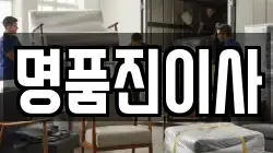 명품진이사