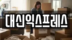 대신익스프레스
