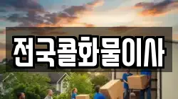 전국콜화물이사