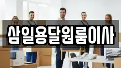 삼일용달원룸이사