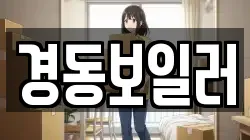 경동보일러