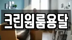 크린원룸용달