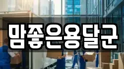 맘좋은용달군