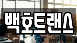 백호트랜스